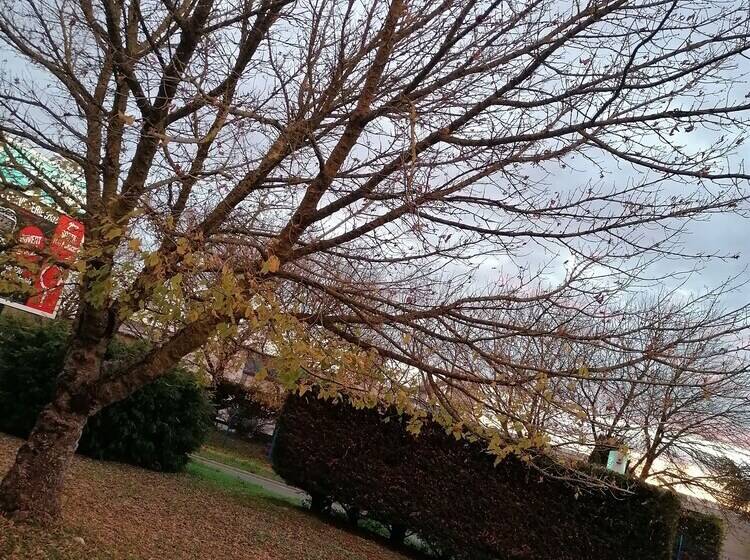 호텔 Kyriad Direct Saintes