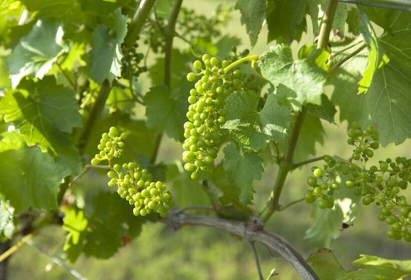 בית מלון כפרי Landhaus Moserhof