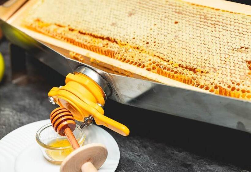 Le Grand Aigle Hotel & Spa