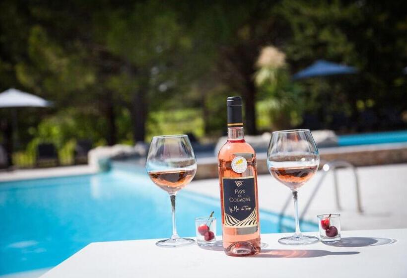 בית מלון כפרי Le Mas Du Terme