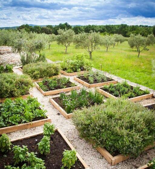 בית מלון כפרי Le Mas Du Terme