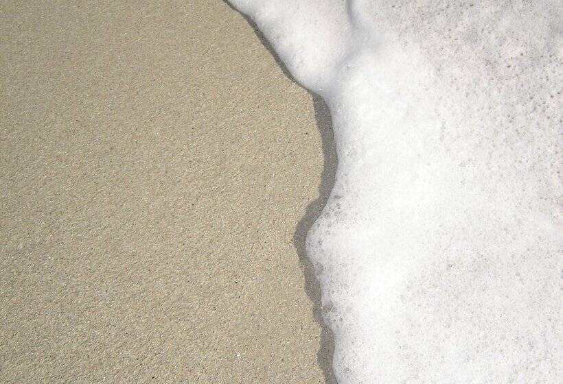 Отель Le Petit Baigneur Palavas Plage