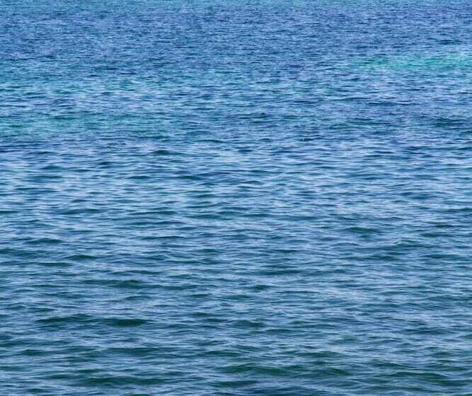 ホテル Le Temps De Vivre