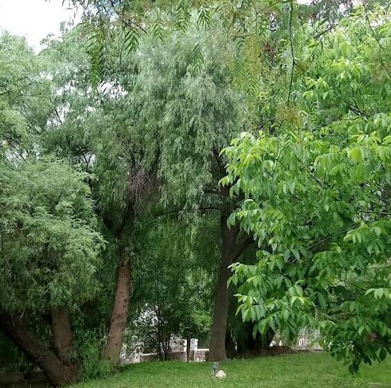 هتل Leyenda Posada