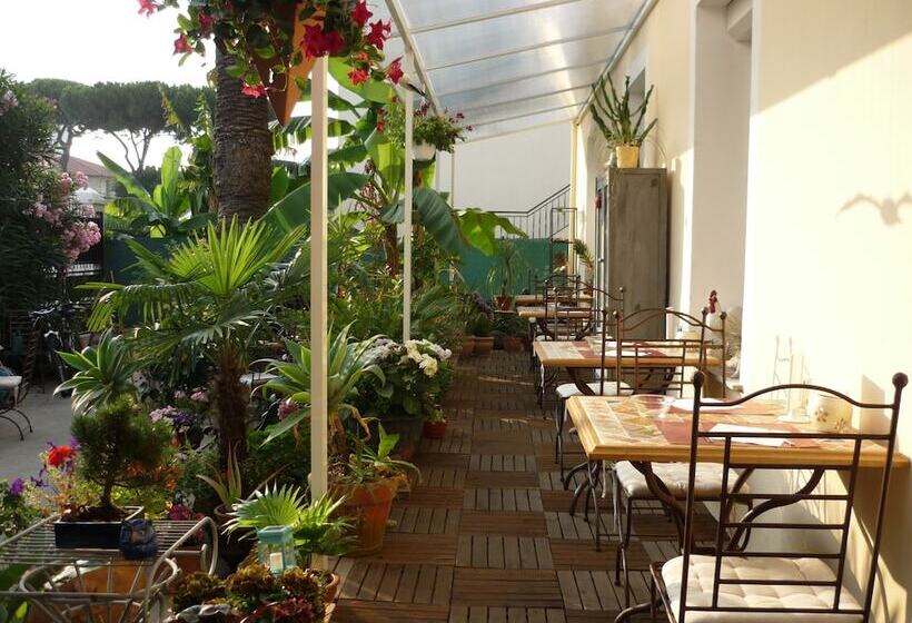 Отель Logis Hôtel Villa Victorine