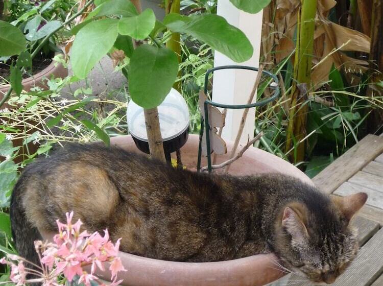 Отель Logis Hôtel Villa Victorine