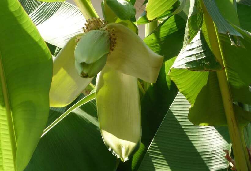 Отель Logis Hôtel Villa Victorine