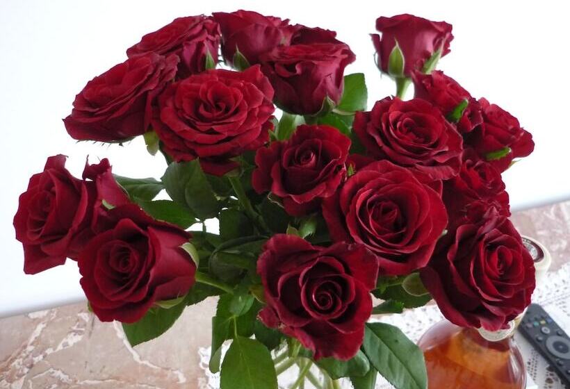 Отель Logis Hôtel Villa Victorine