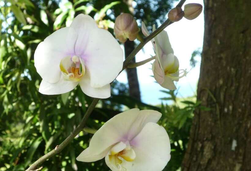 Отель Logis Hôtel Villa Victorine