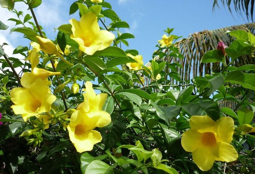 Отель Logis Hôtel Villa Victorine