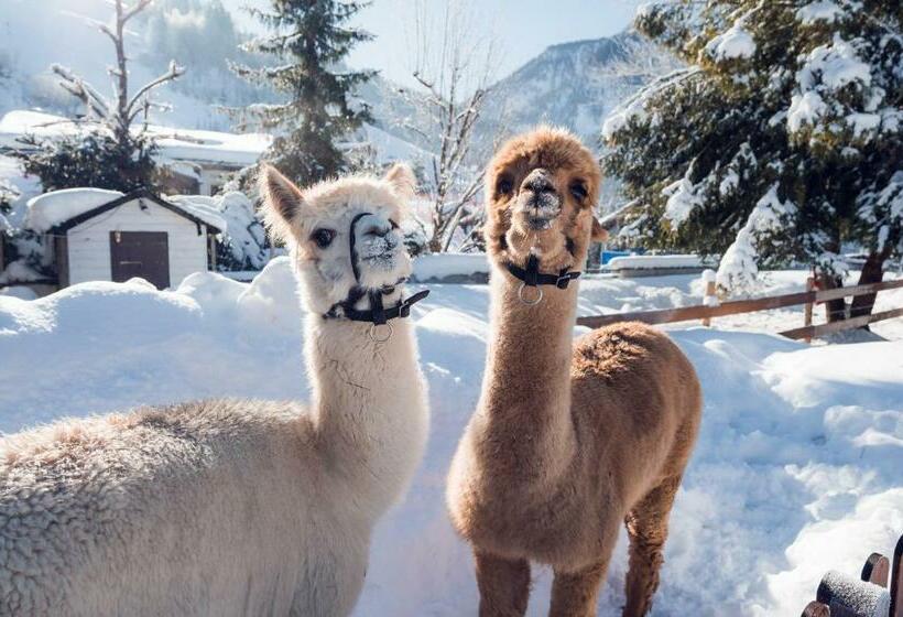 فندق Oberforsthof