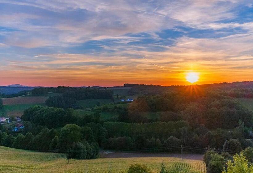 酒店 Panoramahof Loipersdorf