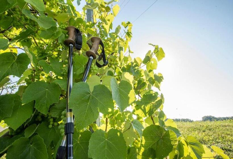 酒店 Panoramahof Loipersdorf