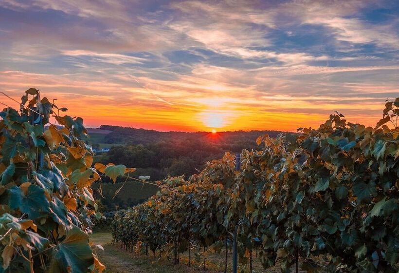 酒店 Panoramahof Loipersdorf