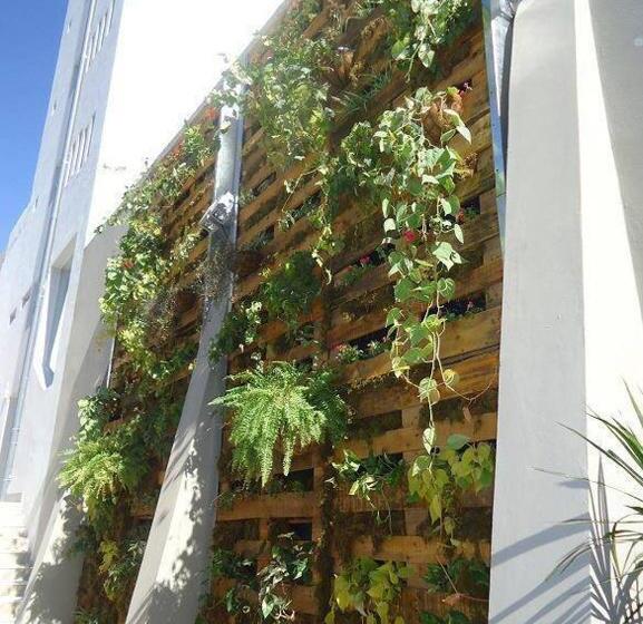 酒店 Platino Termas All Inclusive