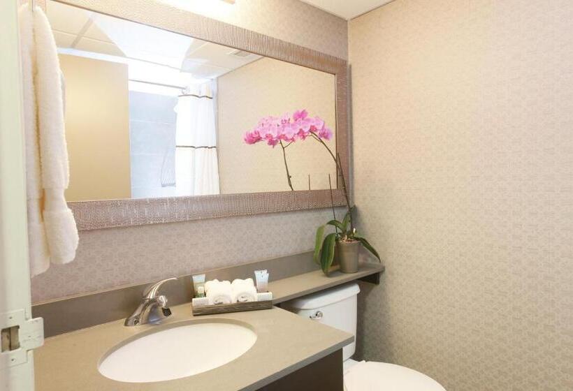 호텔 Pomeroy Inn And Suites Dawson Creek