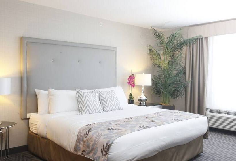 فندق Pomeroy Inn & Suites At Olds