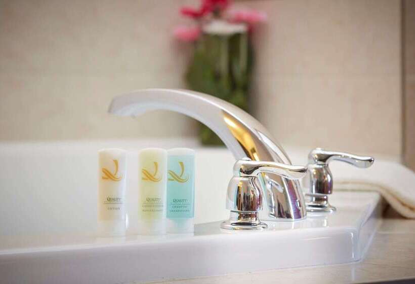 فندق Quality Inn Southampton