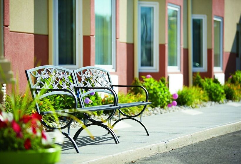 فندق Quality Inn Southampton