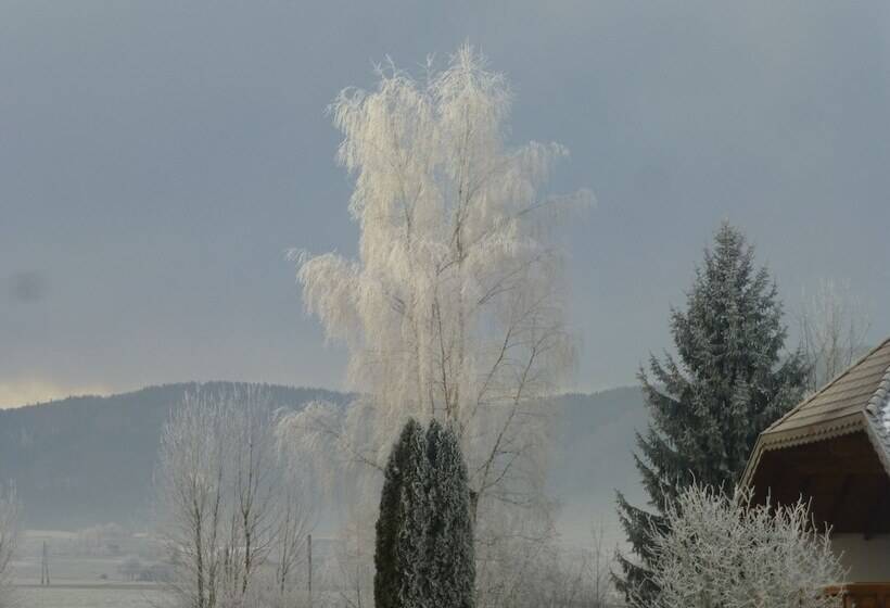 ホテル Rosslwirt Rast