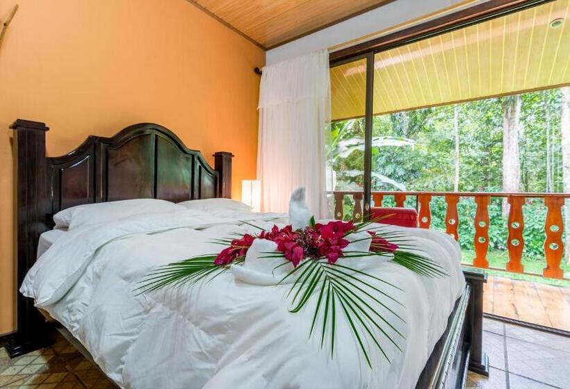 فندق ريفى Ara Ambigua Lodge