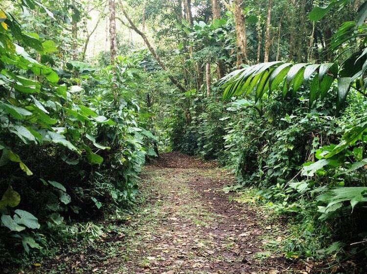 בית מלון כפרי Bosque De Paz