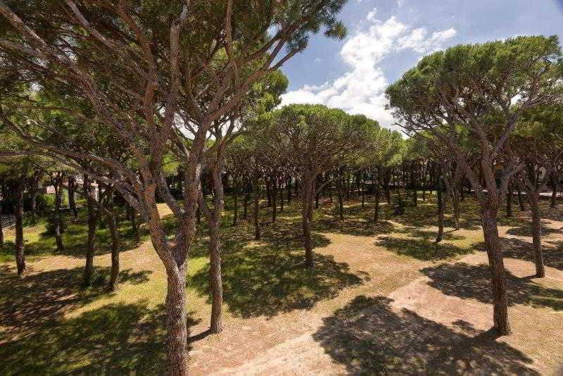 هتل Terme Marine Leopoldo Ii Terme & Spa