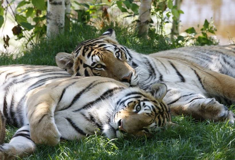 ホテル Travelodge By Wyndham Alma