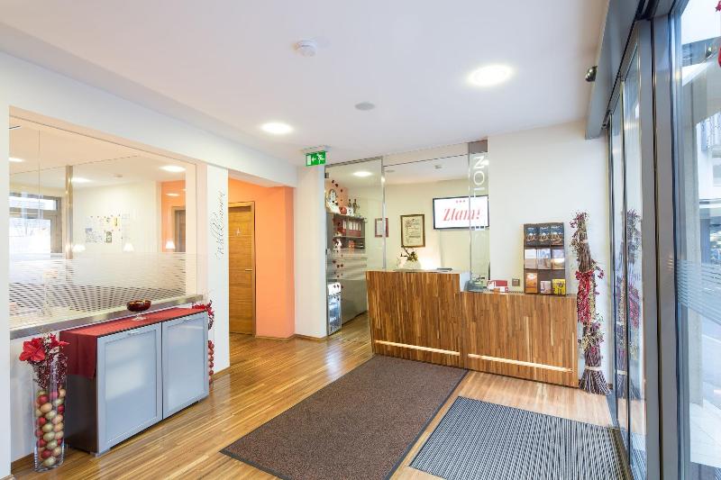 בית מלון כפרי Zlamiholzer