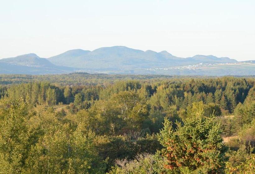 Hôtel Motel Les Voitures D Eau