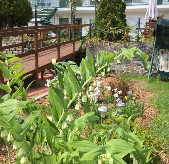 Hôtel Motel Les Voitures D Eau