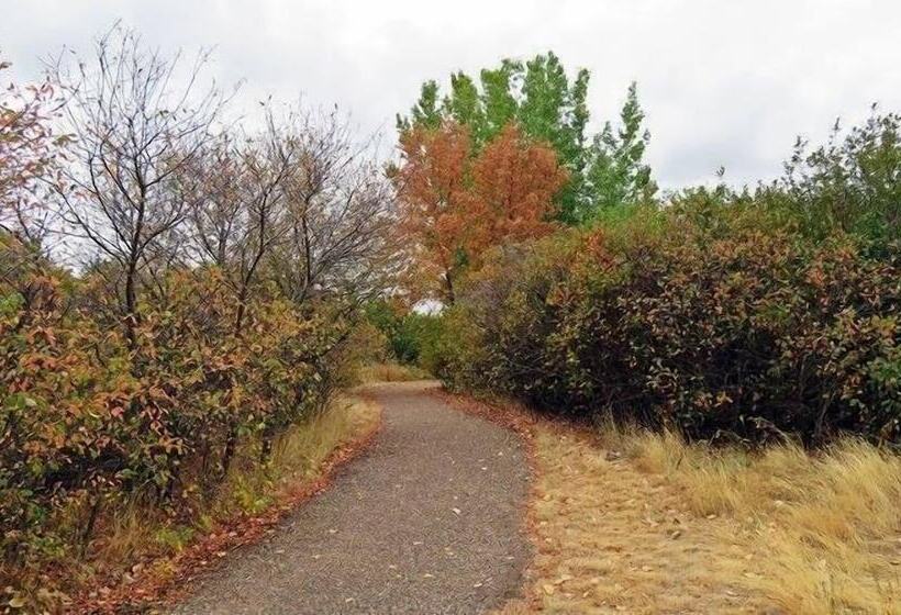 מוטל Home Inn Medicine Hat