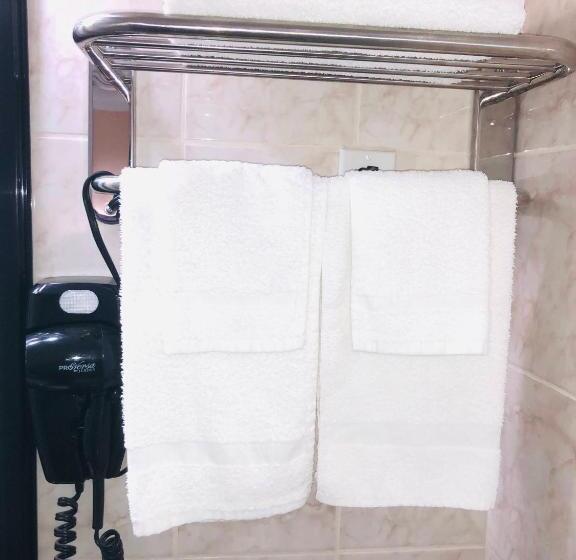 فندق على الطريق Perth Plaza Inn & Suites