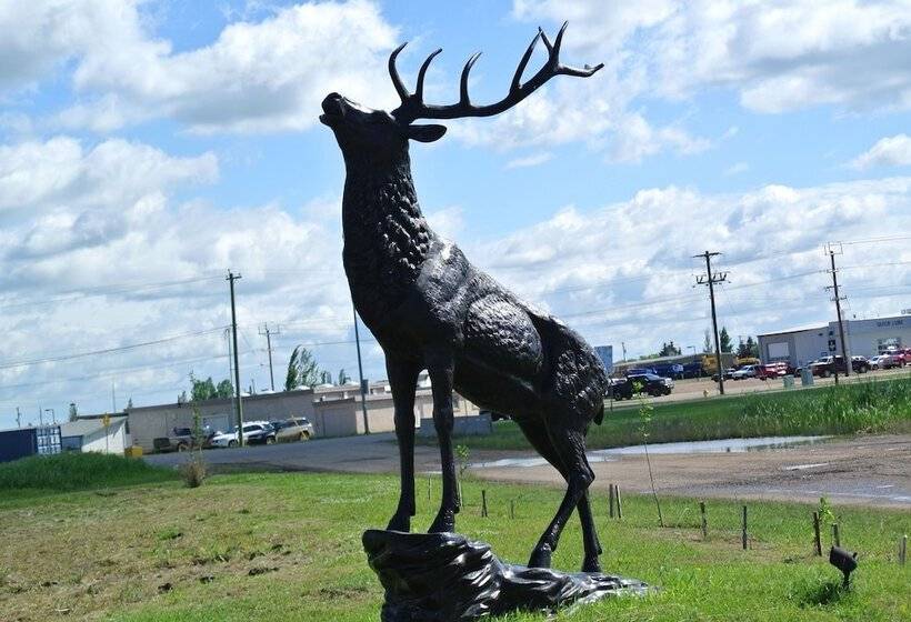 מוטל Vegreville Garden Inn