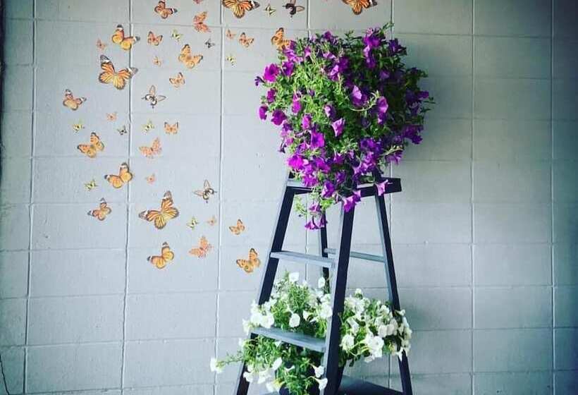 מוטל Vegreville Garden Inn