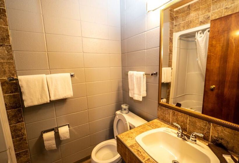 מוטל Vegreville Garden Inn