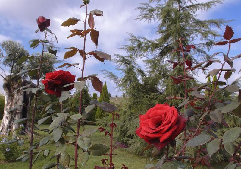 Popilia Country Resort