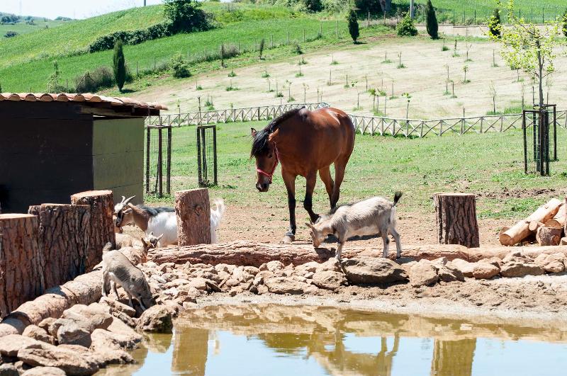 Popilia Country Resort