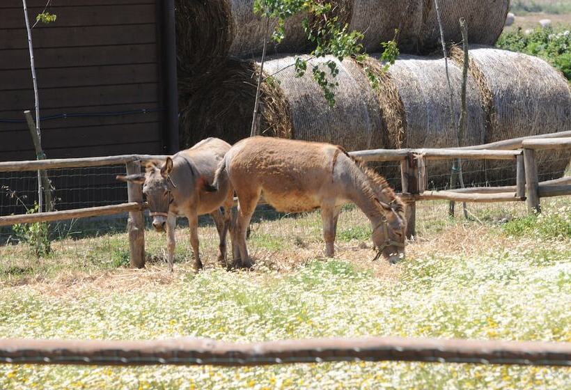 Popilia Country Resort