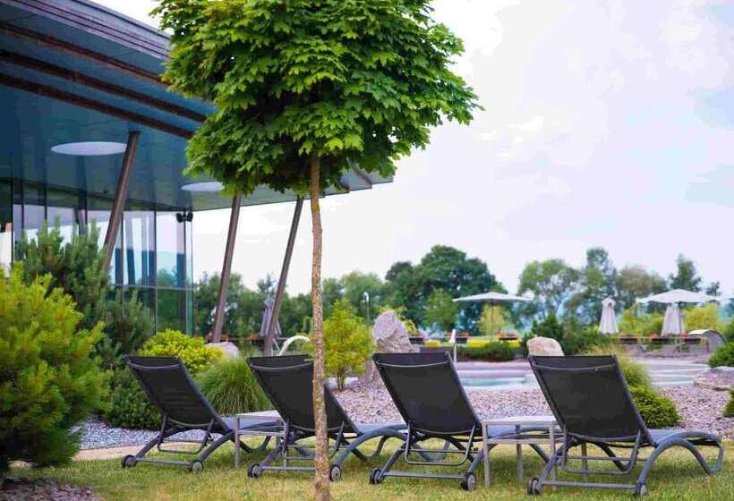 منتجع Barriere Ribeauville