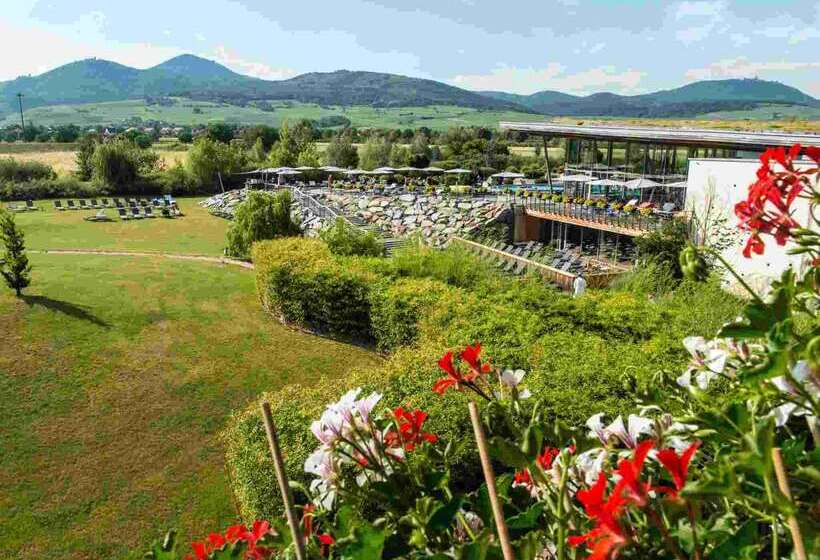 منتجع Barriere Ribeauville