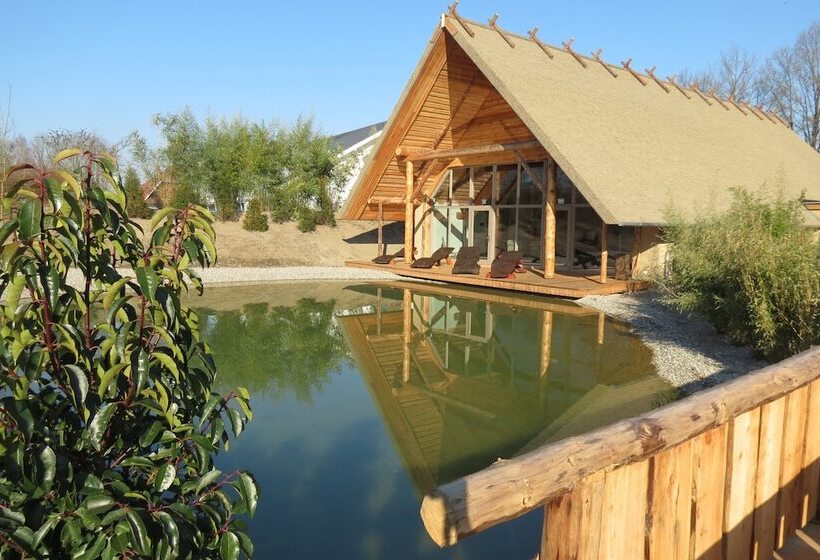 Ringhotel Alfsee Piazza