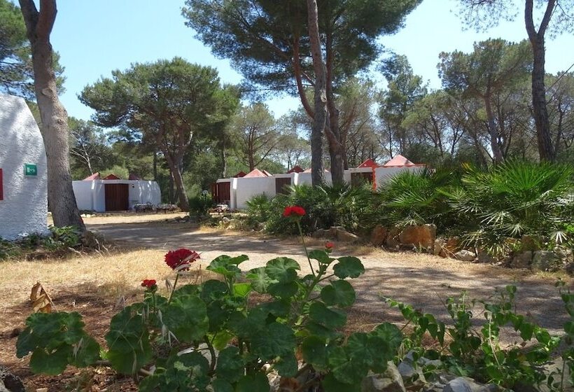 Общежитие Villaggio Camping Nurral
