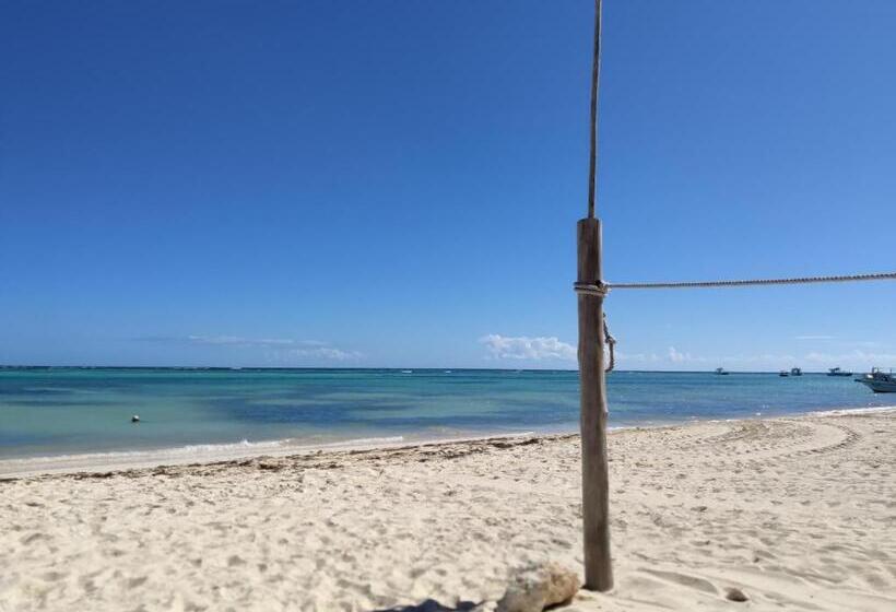 Bavaro Green