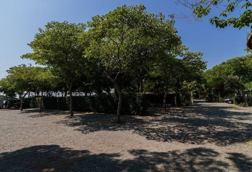 Camping La Focetta Sicula