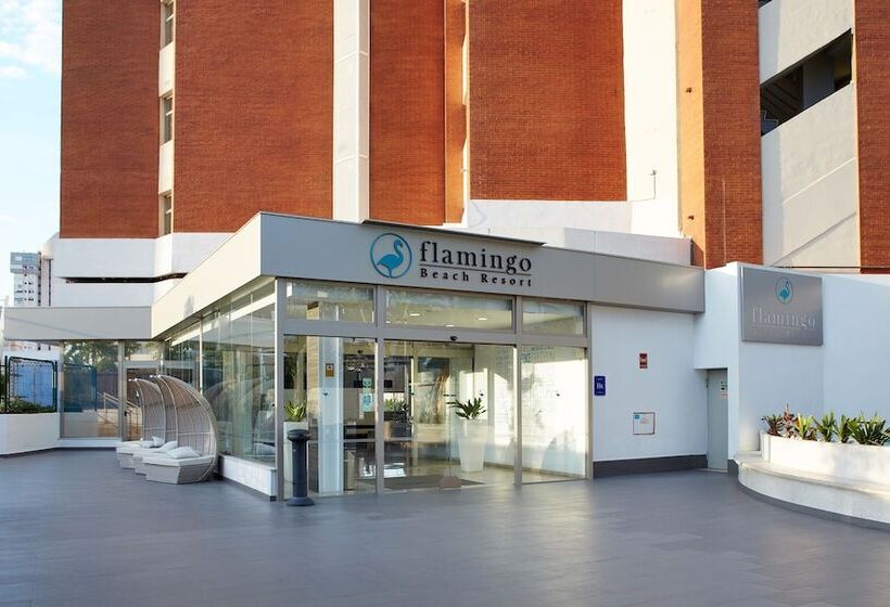 Flamingo Beach Resort   Adults Recommended