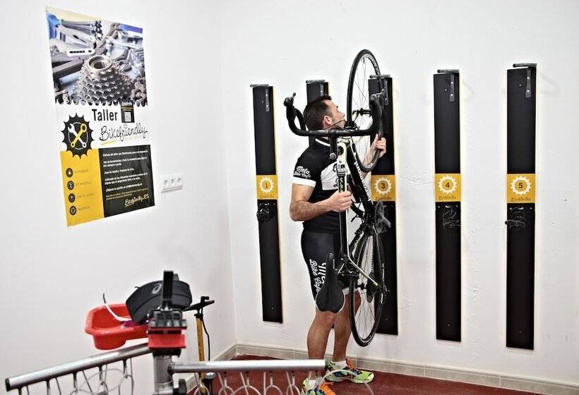 Flamingo Beach Resort   Adults Recommended