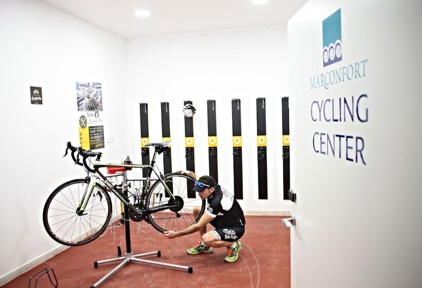 Flamingo Beach Resort   Adults Recommended