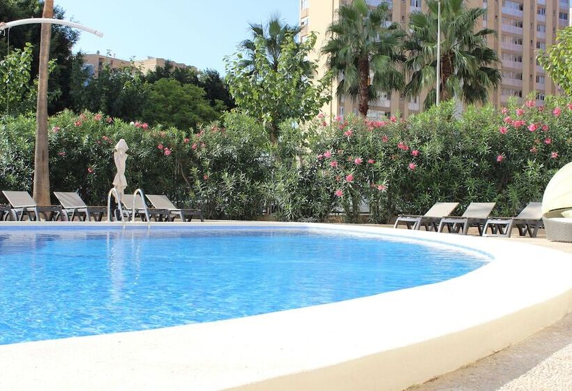 Flamingo Beach Resort   Adults Recommended