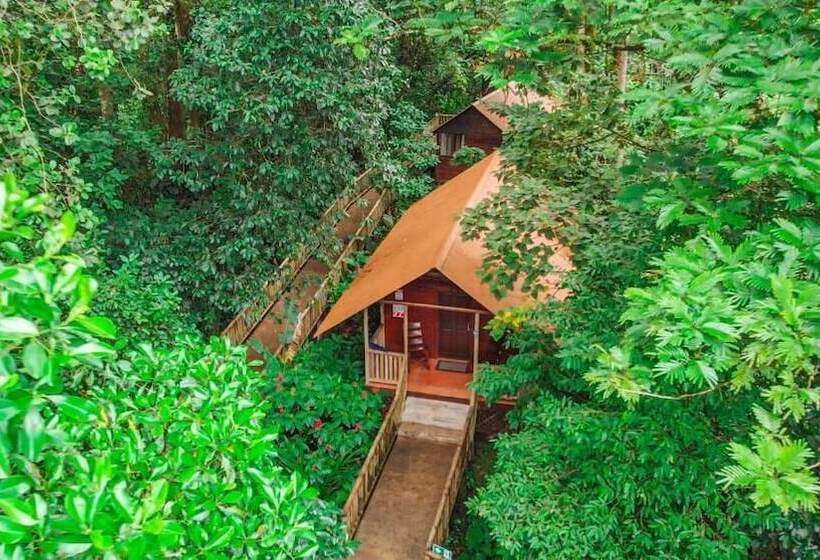 Отель Aninga Lodge